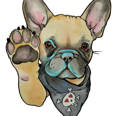 High Five Fawn Frenchie