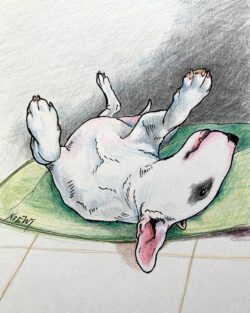 Rub My Belly