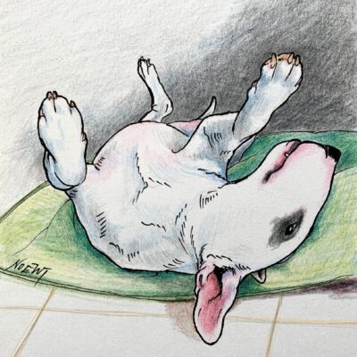 Rub My Belly